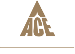 ACE Cidco